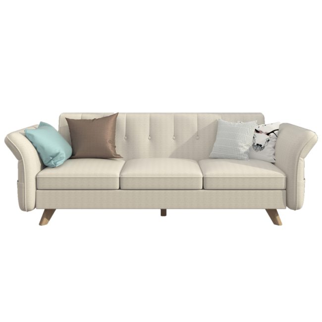 Hot sale sofa bed (15)