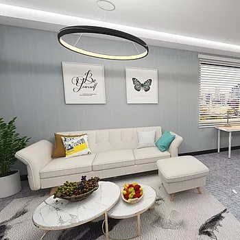 Hot sale sofa bed (18)