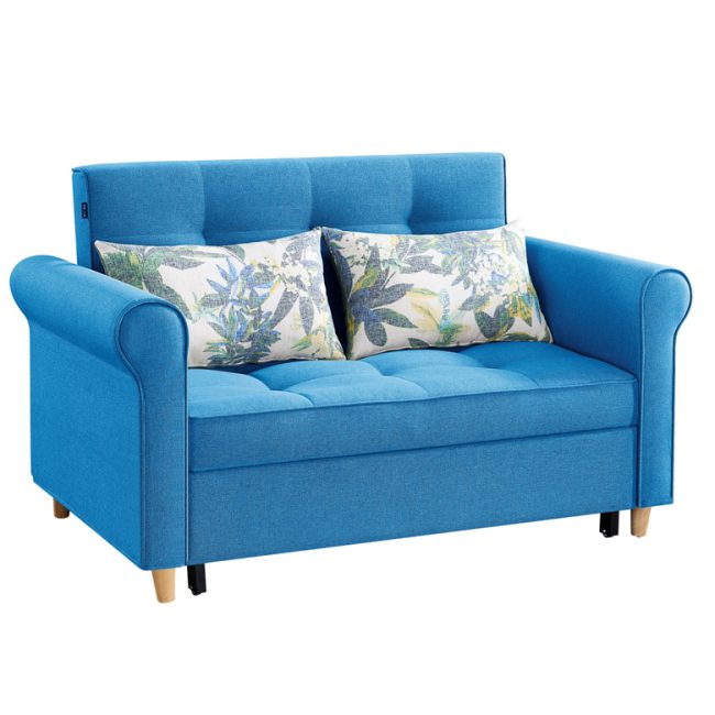 Hot sale sofa bed (2)